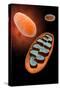 Microscopic View of Mitochondria-null-Stretched Canvas
