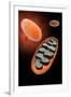 Microscopic View of Mitochondria-null-Framed Art Print