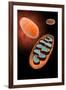 Microscopic View of Mitochondria-null-Framed Art Print