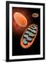 Microscopic View of Mitochondria-null-Framed Art Print