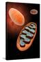 Microscopic View of Mitochondria-null-Stretched Canvas