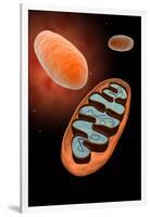 Microscopic View of Mitochondria-null-Framed Art Print