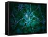 Microscopic View of Multiple Nerve Cells, Known As Neurons-Stocktrek Images-Framed Stretched Canvas