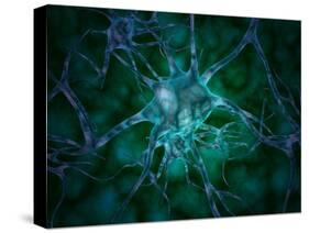 Microscopic View of Multiple Nerve Cells, Known As Neurons-Stocktrek Images-Stretched Canvas