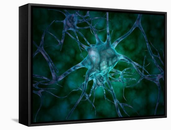 Microscopic View of Multiple Nerve Cells, Known As Neurons-Stocktrek Images-Framed Stretched Canvas