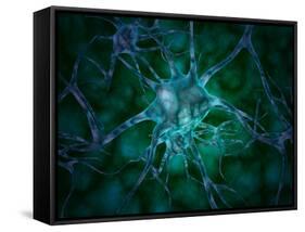 Microscopic View of Multiple Nerve Cells, Known As Neurons-Stocktrek Images-Framed Stretched Canvas