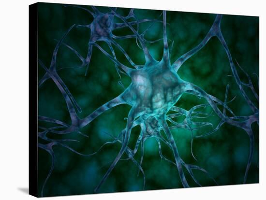 Microscopic View of Multiple Nerve Cells, Known As Neurons-Stocktrek Images-Stretched Canvas