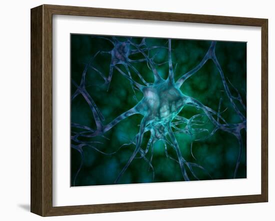 Microscopic View of Multiple Nerve Cells, Known As Neurons-Stocktrek Images-Framed Photographic Print