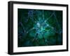 Microscopic View of Multiple Nerve Cells, Known As Neurons-Stocktrek Images-Framed Photographic Print