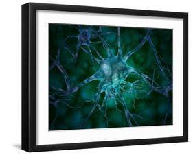 Microscopic View of Multiple Nerve Cells, Known As Neurons-Stocktrek Images-Framed Photographic Print