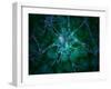 Microscopic View of Multiple Nerve Cells, Known As Neurons-Stocktrek Images-Framed Photographic Print
