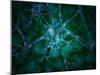 Microscopic View of Multiple Nerve Cells, Known As Neurons-Stocktrek Images-Mounted Photographic Print