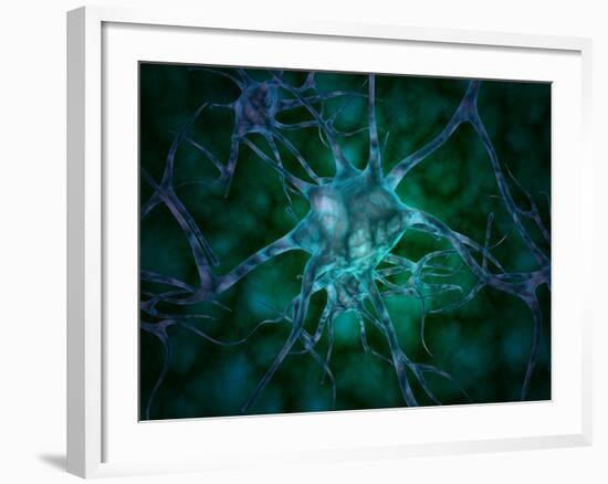 Microscopic View of Multiple Nerve Cells, Known As Neurons-Stocktrek Images-Framed Photographic Print