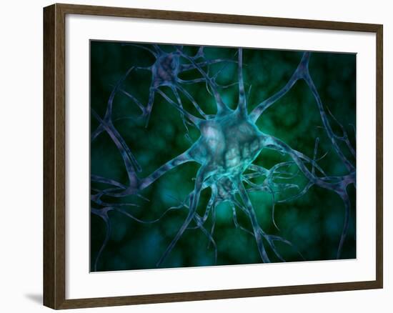 Microscopic View of Multiple Nerve Cells, Known As Neurons-Stocktrek Images-Framed Photographic Print