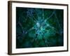 Microscopic View of Multiple Nerve Cells, Known As Neurons-Stocktrek Images-Framed Photographic Print