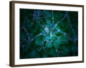 Microscopic View of Multiple Nerve Cells, Known As Neurons-Stocktrek Images-Framed Photographic Print