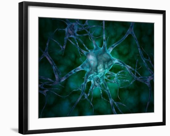 Microscopic View of Multiple Nerve Cells, Known As Neurons-Stocktrek Images-Framed Photographic Print