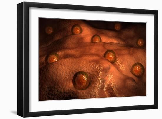 Microscopic View of Ovules-null-Framed Art Print