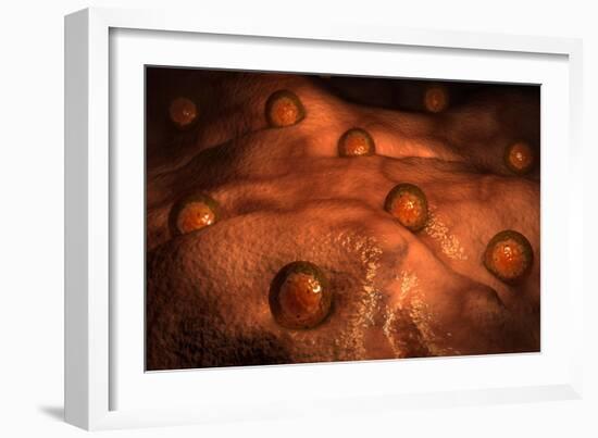 Microscopic View of Ovules-null-Framed Art Print