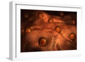 Microscopic View of Ovules-null-Framed Art Print