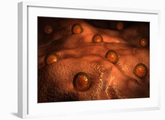 Microscopic View of Ovules-null-Framed Art Print
