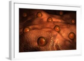 Microscopic View of Ovules-null-Framed Art Print