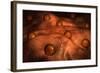 Microscopic View of Ovules-null-Framed Art Print