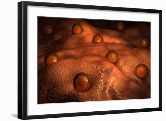 Microscopic View of Ovules-null-Framed Art Print