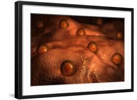 Microscopic View of Ovules-null-Framed Art Print