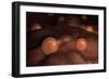 Microscopic View of Ovules-null-Framed Premium Giclee Print