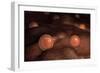 Microscopic View of Ovules-null-Framed Premium Giclee Print