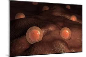 Microscopic View of Ovules-null-Mounted Premium Giclee Print