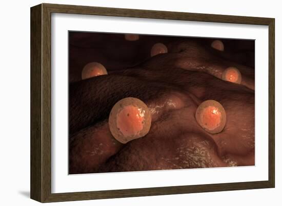 Microscopic View of Ovules-null-Framed Art Print