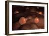 Microscopic View of Ovules-null-Framed Art Print