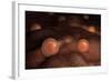 Microscopic View of Ovules-null-Framed Art Print