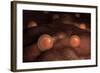 Microscopic View of Ovules-null-Framed Art Print