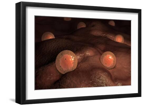 Art Print, , large