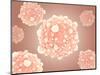 Microscopic View of Pancreatic Cancer Cell-null-Mounted Art Print