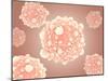 Microscopic View of Pancreatic Cancer Cell-null-Mounted Art Print