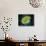 Microscopic View of Paramecium Bursaria-null-Stretched Canvas displayed on a wall