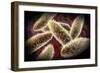 Microscopic View of Paramecium-null-Framed Art Print