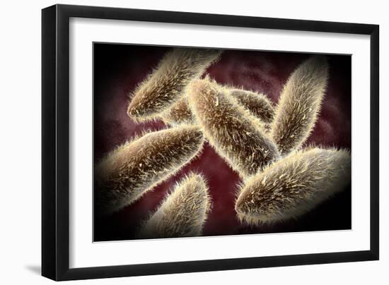 Microscopic View of Paramecium-null-Framed Art Print