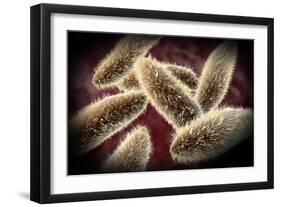 Microscopic View of Paramecium-null-Framed Art Print