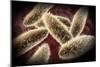 Microscopic View of Paramecium-null-Mounted Art Print