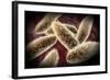 Microscopic View of Paramecium-null-Framed Art Print