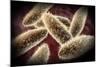 Microscopic View of Paramecium-null-Mounted Art Print