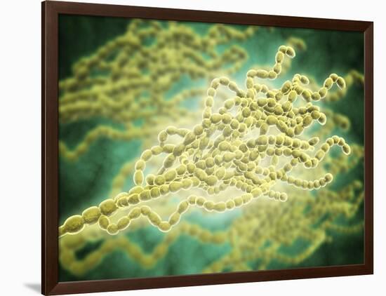 Microscopic View of Penicillium Expansum-null-Framed Art Print
