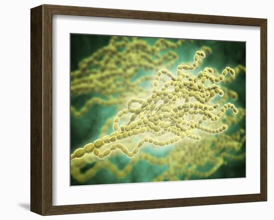 Microscopic View of Penicillium Expansum-null-Framed Art Print