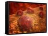 Microscopic View of Phagocytic Macrophages-Stocktrek Images-Framed Stretched Canvas