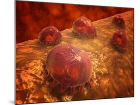 Microscopic View of Phagocytic Macrophages-Stocktrek Images-Mounted Photographic Print